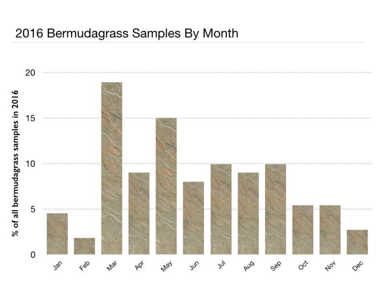 2016 bermudagrass samples by month (bar chart)