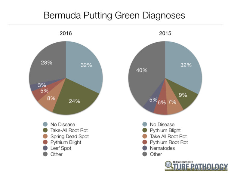 two pie charts showing 2016 and 2015 bermudagrass putting green diagnoses