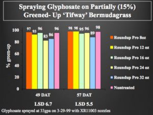 Chart showing results of spraying glyphosate on partially greened-up Tifway Bermudagrass