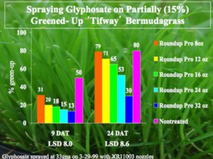 Bar chart showing results of spraying glyphosate on partially greened-up Tifway Bermudagrass