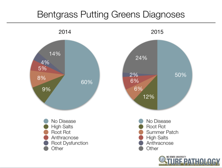 Bentgrass putting greens diagnoses