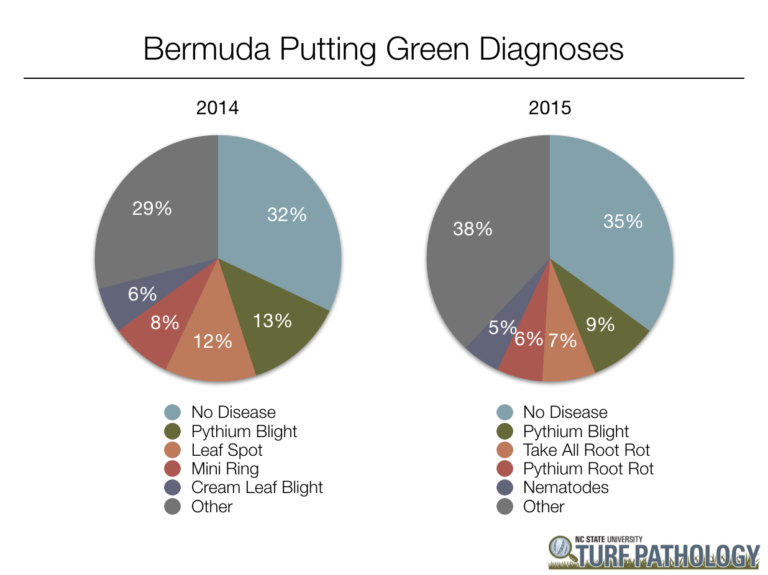 Pie charts showing 2014 and 2015 Bermuda putting green diagnoses