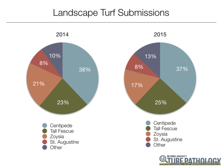 landscape turf submissions