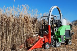 bioenergyharvest