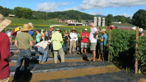 Cover photo for Annual Alternative Crops and Organics Field Day