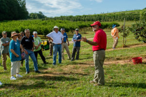 Cover photo for MHCREC's Dr. Jim Walgenbach Named William Neal Reynolds Distinguished Professor