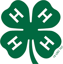 Cover photo for Montgomery County 4-H 2025 Summer Adventures Registration Is Open