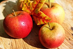 Cover photo for 4-H Fruit Plant Sale