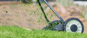 Cover photo for Time to start planning to Re-seed your Tall Fescue Lawn!