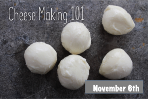 Cover photo for Cheese Making 101- Experience the Science of Cheese Making
