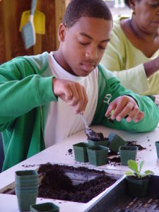 Youth tabletop gardening at NHC Arboretum outdoor classroom
