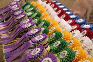 Cover photo for 2018 Judging in January