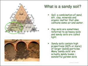 Cover photo for Gardening in Sandy Soils