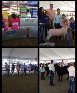 Cover photo for 2018 Onslow County Livestock Showdown