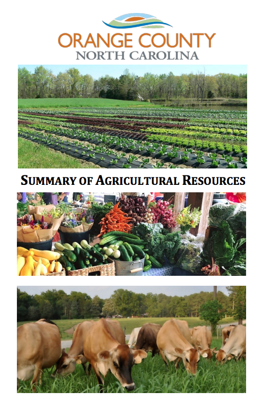a summary of agricultural economics a summary of agricultural economics
