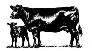 Cover photo for Livestock Update - Spring 2018