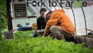 Cover photo for Buncombe County Fork to Farmer Video