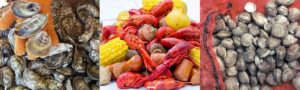 the-2018-north-carolina-aquaculture-development-conference-announces-the-cultured-seafood-festival-this-march-in-new-bern