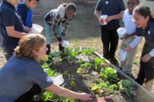 School Garden
