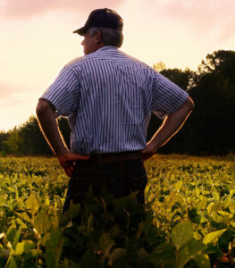 Cover photo for Farmworker Safety Training Day - Nash County RESCHEDULED