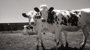 Cover photo for Got PPP Funds? Make Sure You're Tracking Those Dollars