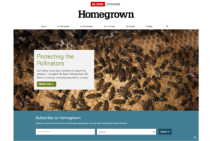 Homegrown website screenshot showing honey bees on a honeycomb
