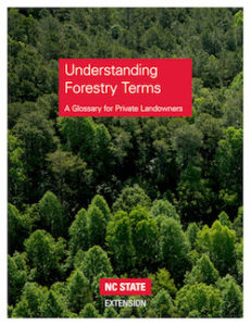 Cover photo for Hot Off the Press! Updated Publication Covering More Than 150 Forest Terms