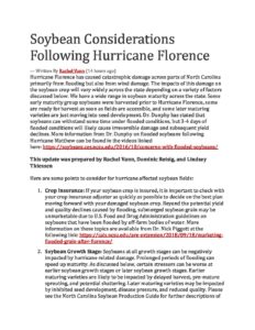 Cover photo for Soybean Considerations Following Hurricane Florence