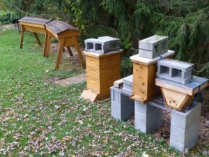 Cover photo for Protective Measures of Beehives During Hurricanes