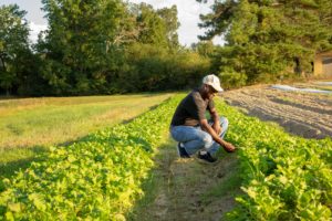 Cover photo for NC Farm School : Keeping It in the Family