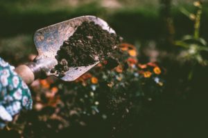Image of soil