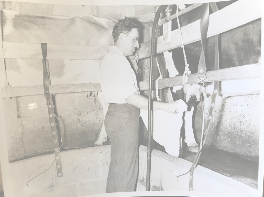 Dairy Cow Share Meeting N.C. Cooperative Extension