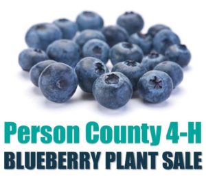 Cover photo for Person County 4-H Blueberry Plant Sale