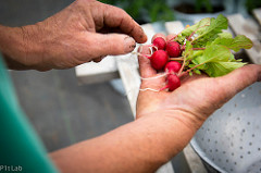 Cover photo for Vacationer Supported Agriculture: Leveraging Vacation Rentals to Create New Revenue Opportunities for Small Farmers