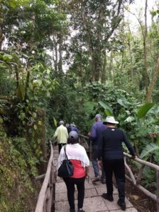 Cover photo for EMG Volunteers Explore Costa Rica and New Zealand!