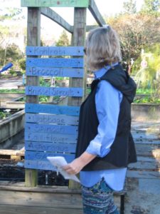Cover photo for UPDATED: Orange County Community Garden Grant Program