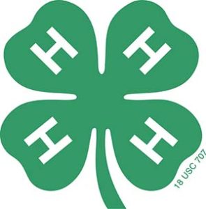 Cover photo for Clovers All Over: What Are the 4 H’s, Anyway?