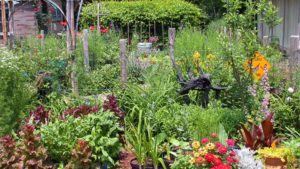 Cover photo for Grow an Edible Landscape