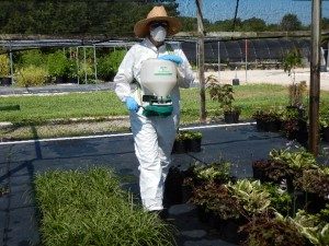 granular herbicide application
