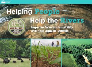 Cover photo for Introducing Working Lands for Wildlife - Eastern Hellbenders