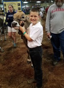 Cover photo for Youth Livestock Showing Tips