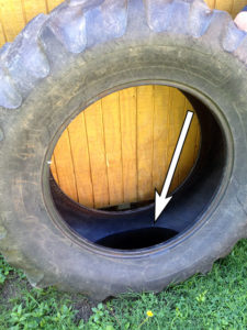 water inside a tractor tire leaning against a shed.