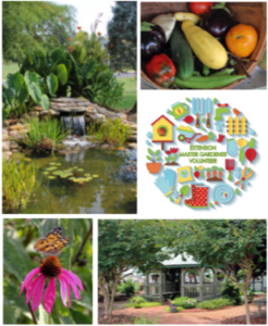 Cover photo for Annual Iredell County Garden Fair -- CANCELED