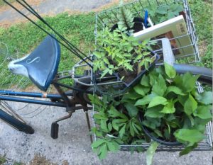 Cover photo for Plant Swap!