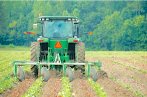 image of a farmer on a tractor in a field of row crops.