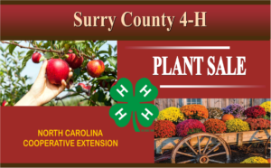 Cover photo for 2019 4-H Fall Plant Sale
