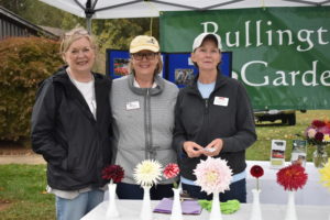 Cover photo for A Special Thank You to Our Volunteers