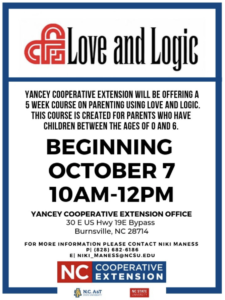 Love and Logic class flyer