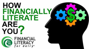 Cover photo for New Financial Literacy Training Series, Fall-Winter 2019-2020