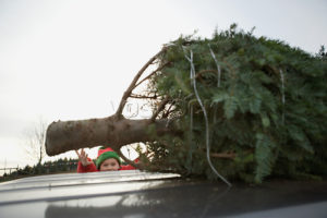 photo of boy reaching for Christmas tree on car roof